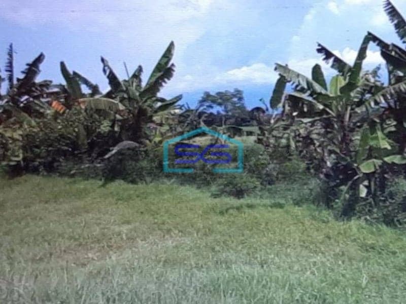 Dijual Tanah Lokasi Strategis Pinggir Jalan Pasuruan LT 280800m2