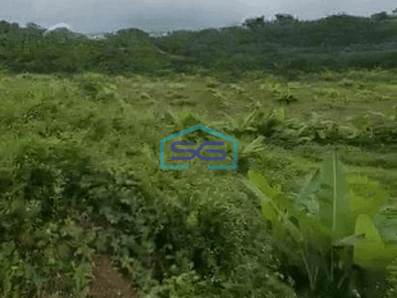 Dijual Tanah 3,6 hektar di Sadeng Gunung Pati, Semarang