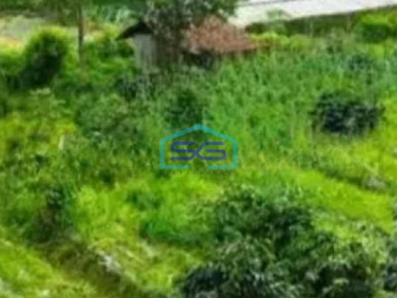 Dijual Tanah Strategis di Lembang Dekat Pusat Hiburan, Kab Bandung Barat Luas Tanah  11700 m²