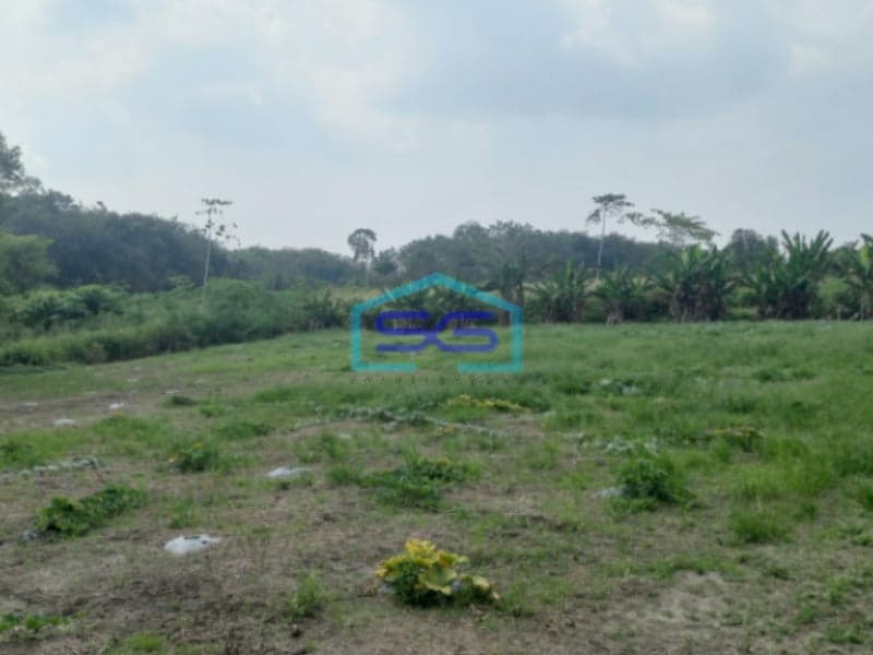 Dijual Tanah di Kabupaten Ogan Ilir Indralaya Sumatera Selatan LT 40.000m2