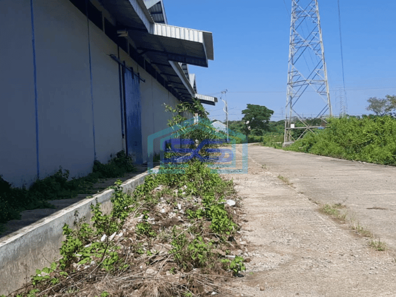 Disewakan gudang di pergudangan 88 Makasar  Sulawesi Selatan