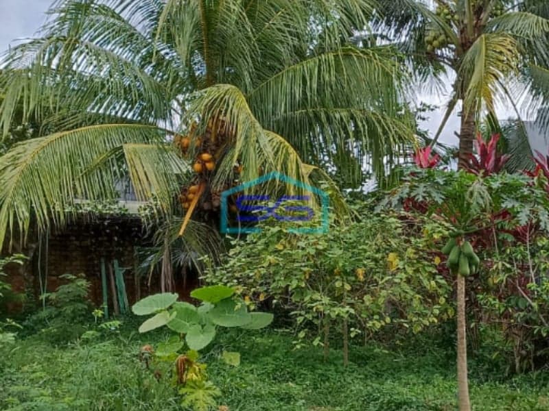 Dijual Tanah Luas Jalan Kapten Marzuki Kamboja Palembang LT 1837m2