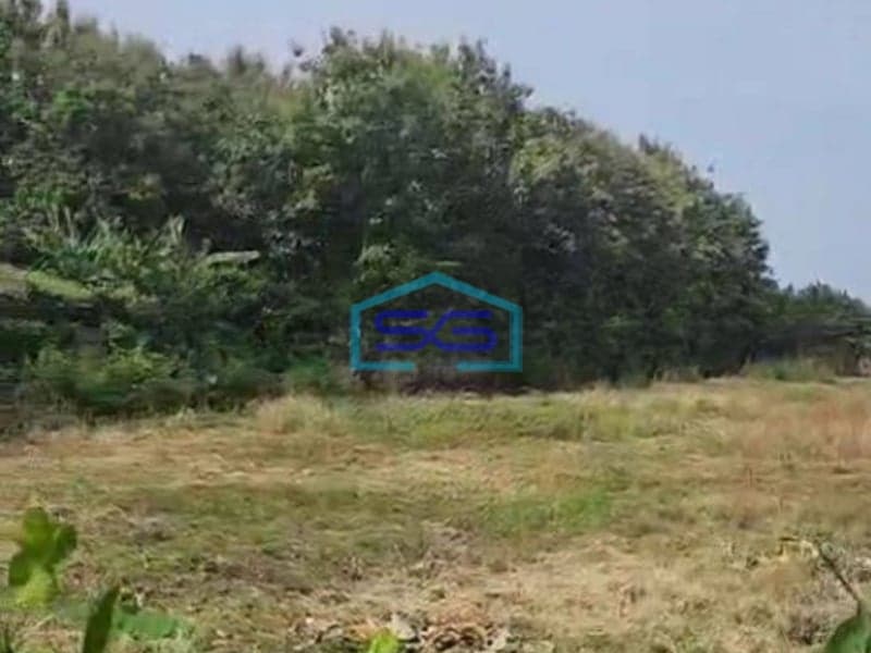 Dijual Cepat Tanah Jalan Raya Gending Probolinggo LT 24000m2