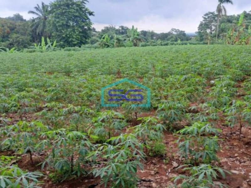 Dijual Tanah Bebas Banjir di Kawasan Industri Tengsaw Citeureup Bogor LT 30000m2