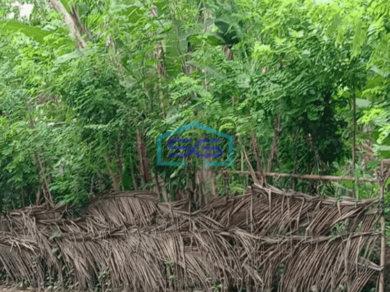 Disewakan Tanah Komersial Di Sengkidu Karangasem Bali Luas Tanah 2600m2