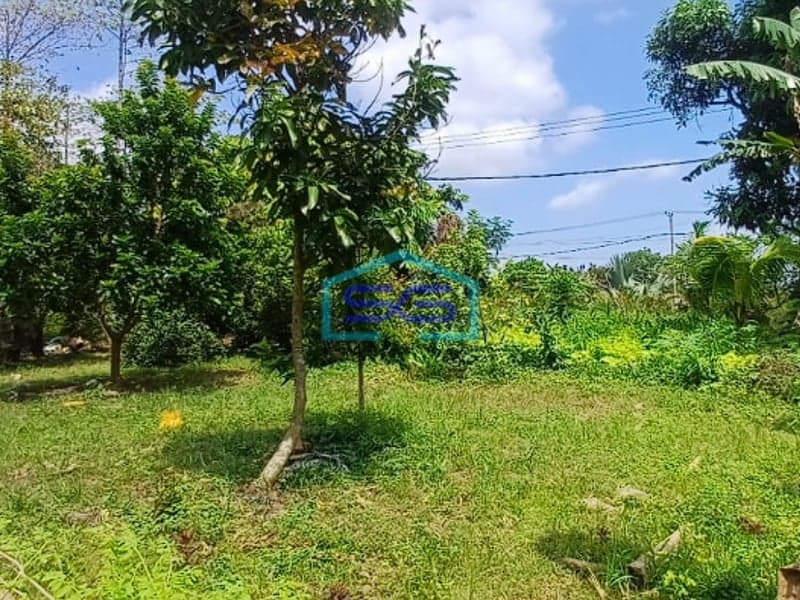 Dijual Lahan Tanah Strategis di Jalan Noerdin Pandji Palembang Luas 4437m2