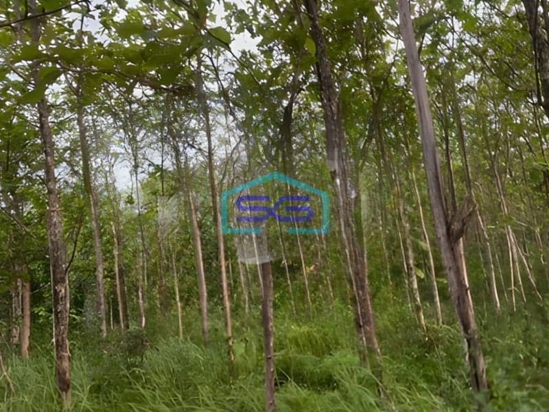 Dijual Tanah di Gunung Kidul Wonosari Kec Ngawen Gunung Kidul Yogyakarta LT 4881m2