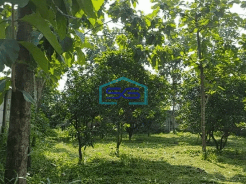 Dijual Tanah Strategis di Suradita, Cisauk, Tangerang