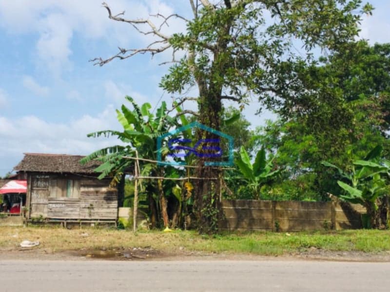 Dijual Tanah Komersial Luas 40000m2 Lokasi Strategis Pinggir Jalan Utama Banyuasin Sumatera Selatan