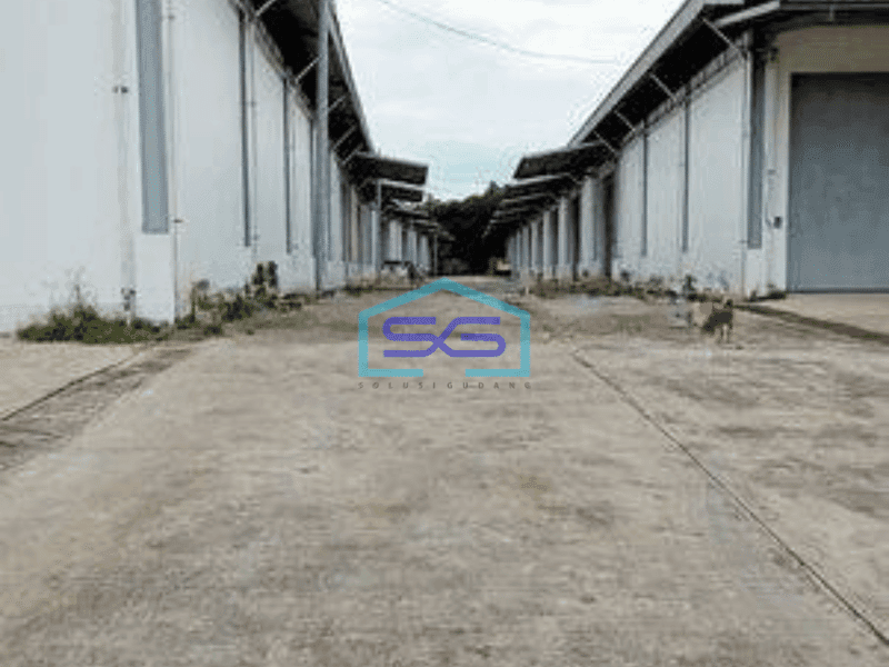 Disewa Gudang Baru LB 5500 m² di Jl Diklat Pemda, Bojong Nangka, Tangerang