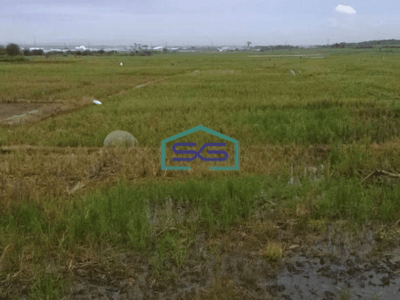 Dijual Tanah Industri Dekat Kawasan Industri Surya Cipta Karawang LT 43000m2