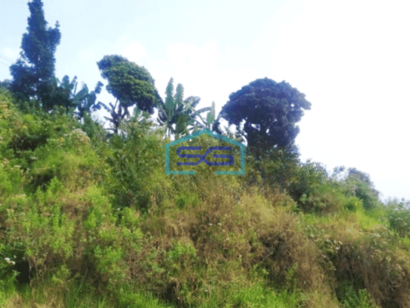 Dijual Tanah Bojong Koneng Dekat Proyek Intiland Mayapada Luas Tanah 40000m2
