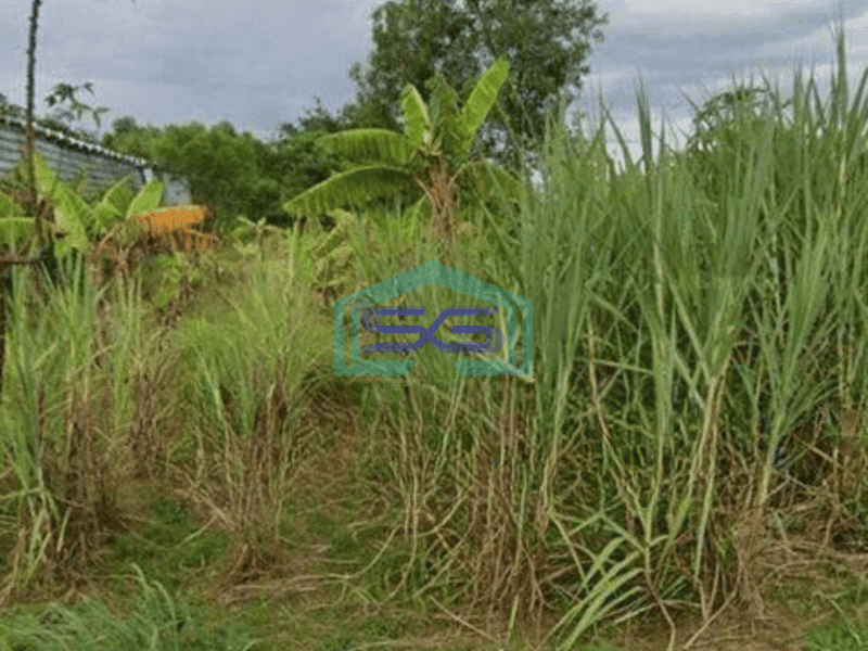 Dijual Tanah Cocok Untuk Gudang di Tigaraksa Tangerang