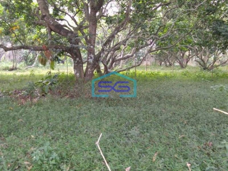 Dijual Tanah di Daerah Kutruk Tigaraksa Tangerang Dipinggir Jalan LT 6300m2