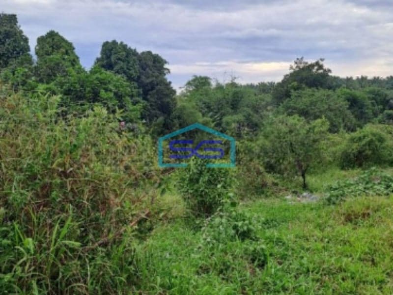 Dijual Tanah Di Gunung Sindur Bogor Luas Tanah 8000m2