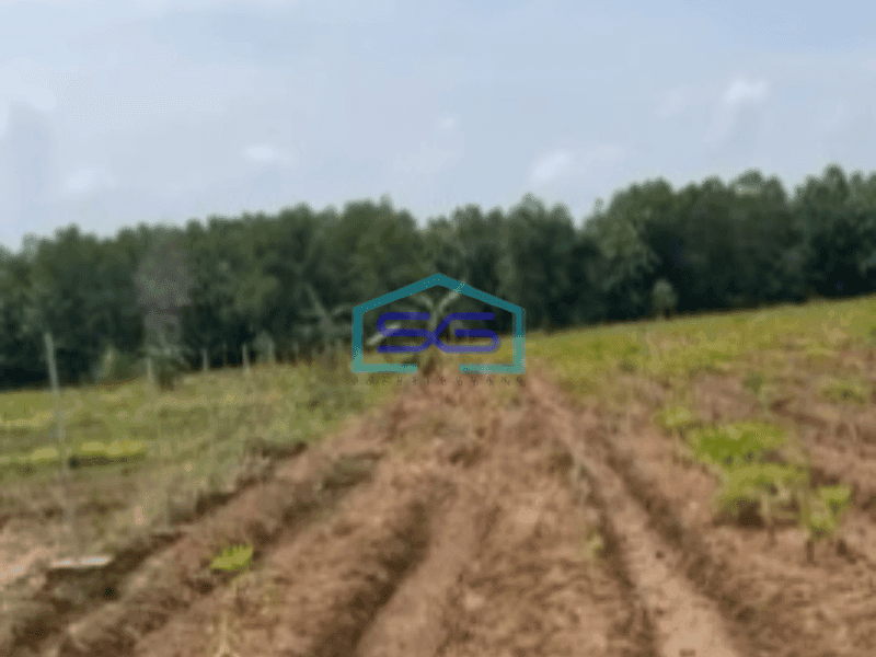 Dijual Tanah Kawasan Kertajati Jawa Barat Luas 30000m²