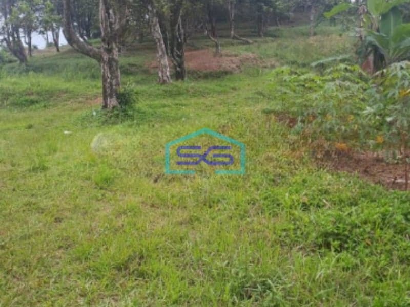 Dijual Tanah Lokasi Strategis Di Leuwiliang Bogor Luas 50000m2 Bebas Banjir