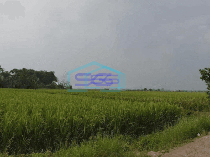 Dijual Kavling Bisa Untuk Perumahan Dan Gudang di Kawasan Nanjung