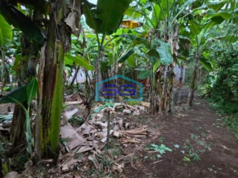 Dijual Tanah Siap Bangun Shm Luas 519m² Di Pinggir Jalan Beruang Raya Gayamsari Semarang