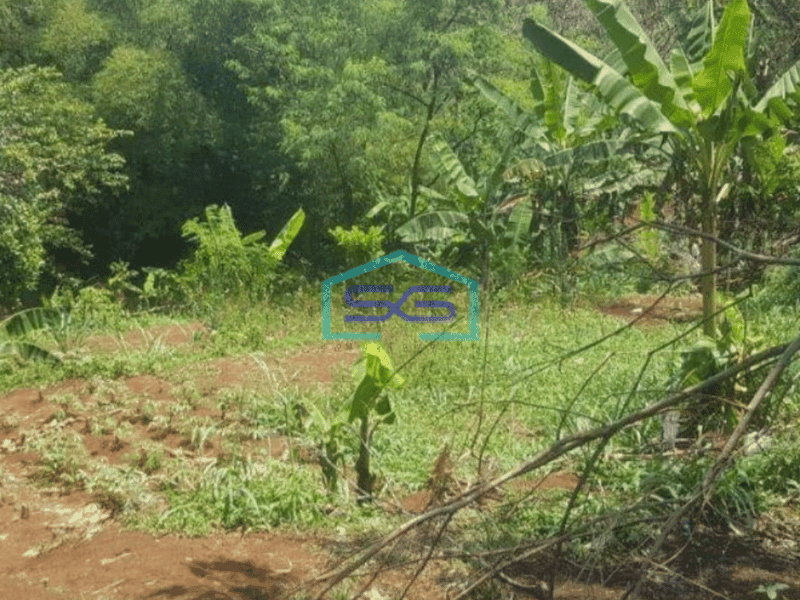 Dijual Tanah 5185m2 Pinggir Jalan Kayu Manis Semplak Bogor