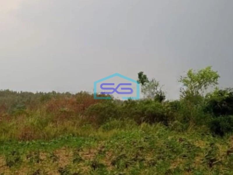 Dijual Tanah Lokasi Bagus Desa Pabuaran Sukamakmur Bogor Luas Tanah 20000m2