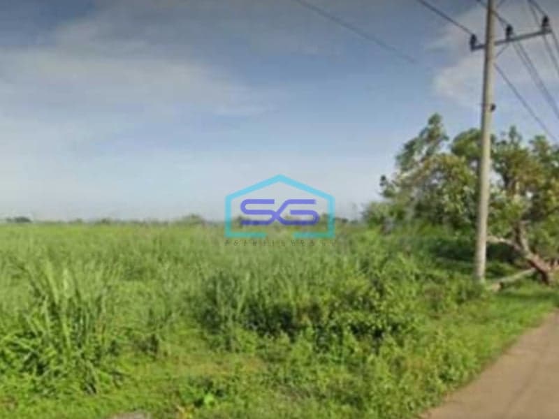 Dijual Tanah di Winongan, Mojoagung, Jombang Luas Tanah  33000 m²