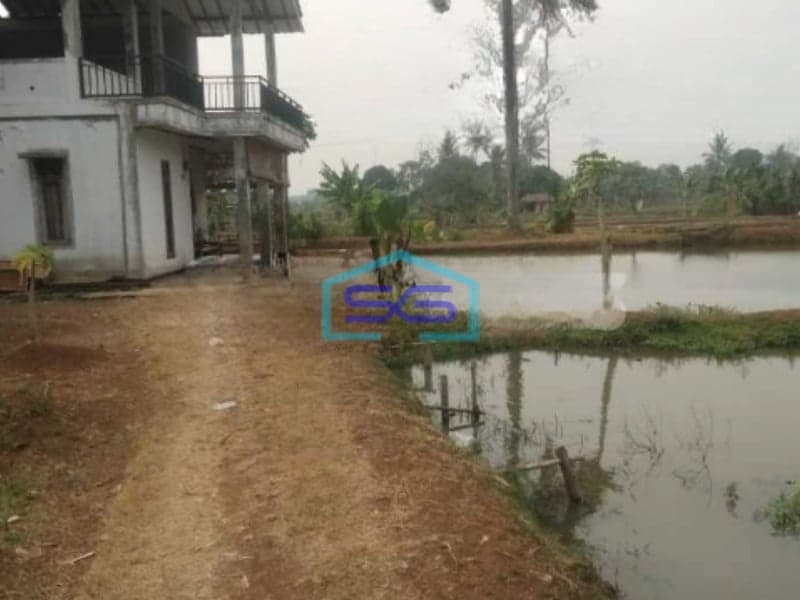 Dijual Tanah Di Ciseeng Bogor Luas Tanah 6500m2  Cocok Untuk Investasi