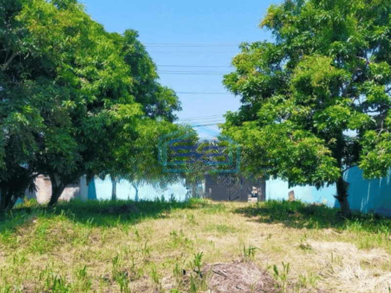 Disewakan Gudang di Kebakkramat Surakarta Luas Tanah  1000 m²  Akses Container 40 Feet