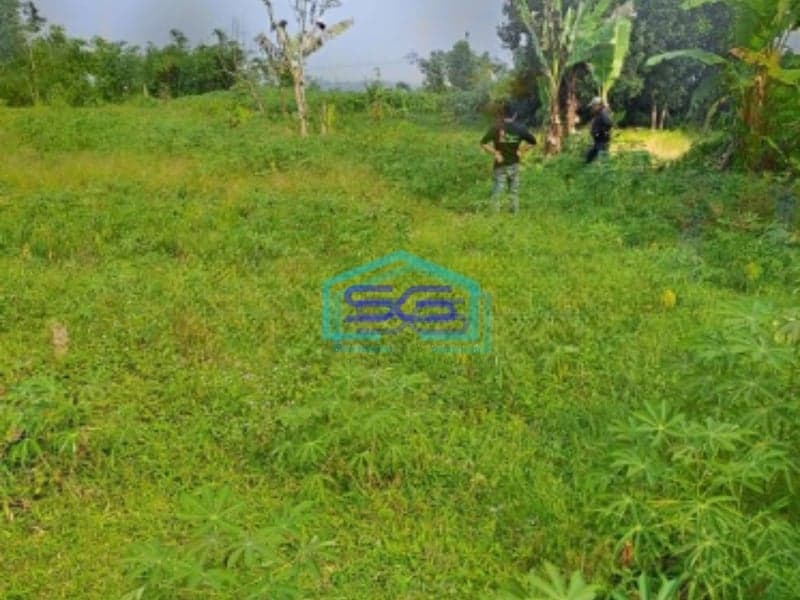 Dijual Tanah di Sentul Cibodas Rumpin Bogor Luas Tanah 10000m2