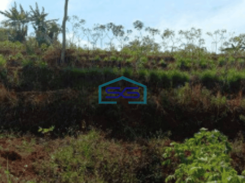 Dijual Tanah Siap Bangun Daerah Cileunyi Bandung LT 31126m2