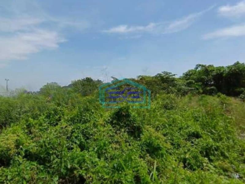 Disewakan Tanah Luas 5000 m² Lokasi di Bekasi Utara