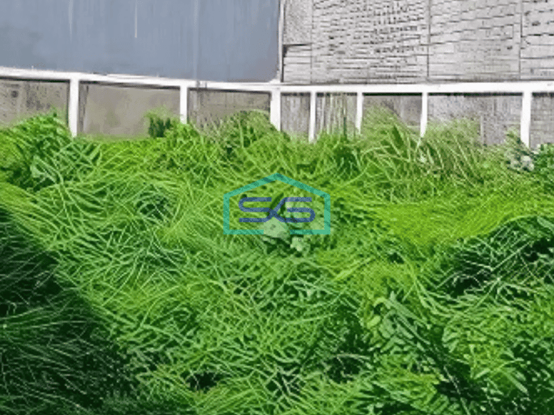 Disewa Gudang Taman Tecno BSD Tangerang