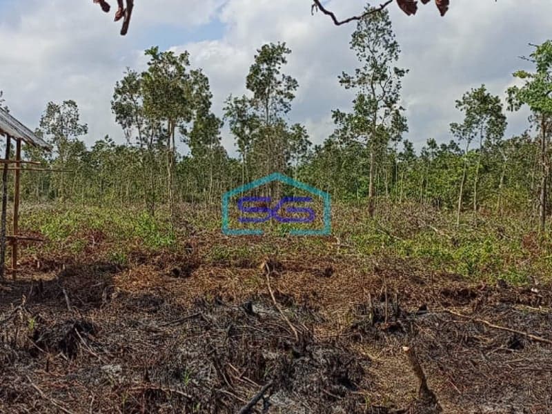 Dijual Tanah Luas 1 Hektar di Sematang Borang Palembang yang siap bangun!