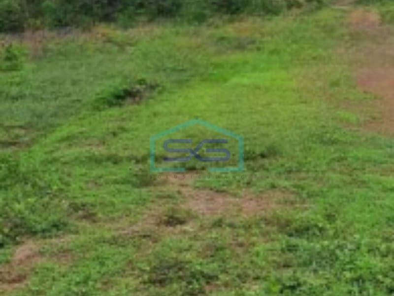 For Sale Land 57554 m² Located in Citeureup Bogor