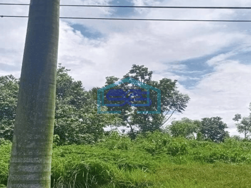 Dijual Tanah Kawasan Industri Modern Cikande Serang