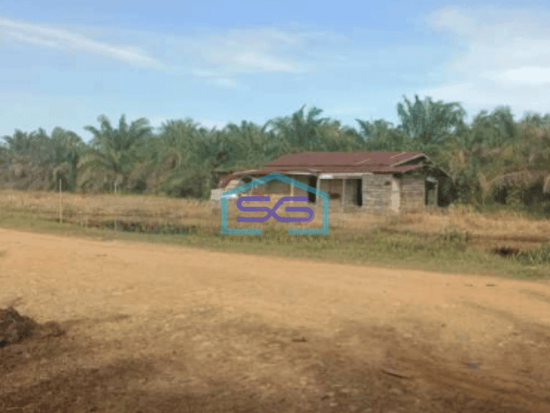 Dijual Tanah Kebun Sawit 550Ha Di Rokan Hilir Riau