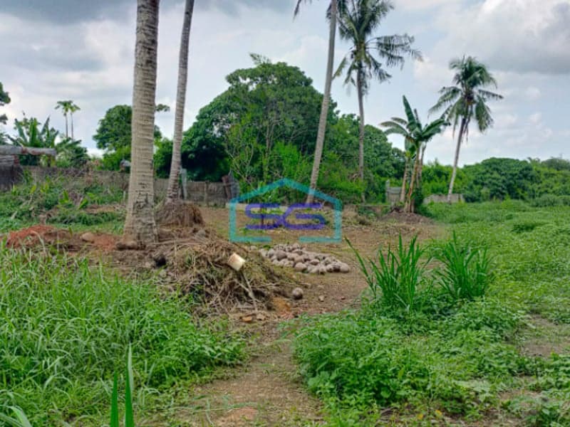 Dijual Tanah Strategis di Jalan Talang Buruk, Alang Alang Lebar Palembang Luas 2 Ha