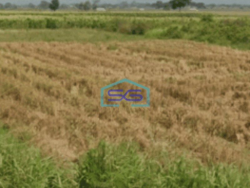 Dijual Tanah Di Jalan Kanci Astanajapura Dekat Tol Kanci Cirebon