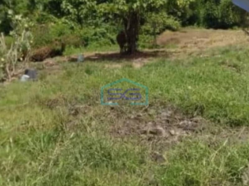 Dijual Tanah Keren dan Murah GoodSpot Bagus di Canggu Badung Bali LT 2700m2