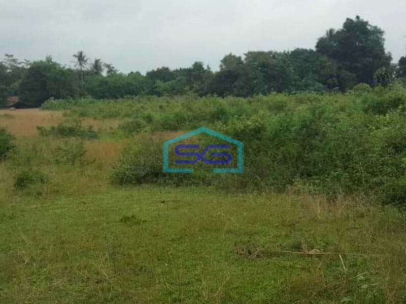Dijual Tanah di Maloko Dangdang Cisauk Tangerang LT 10000m2