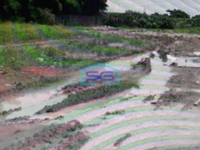 Dijual Tanah Di Semarang Lokasi Strategis Dipinggir Jalan Raya LT 18243m2