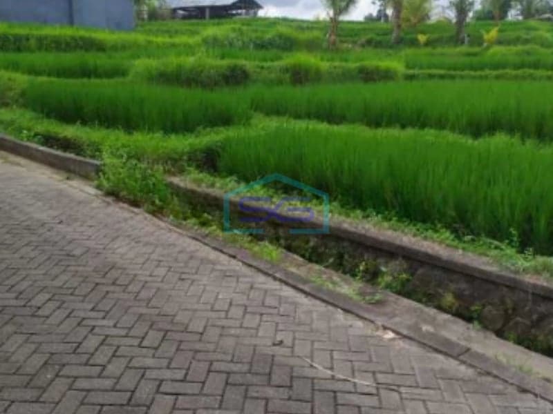 Disewakan Tanah di Ubud Gianyar Bali Luas Tanah 2000m2
