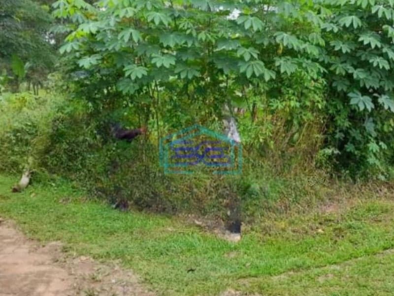 Dijual Tanah Luas  31633 m² Lokasi Pinggir Jalan Utama Cisoka Tangerang