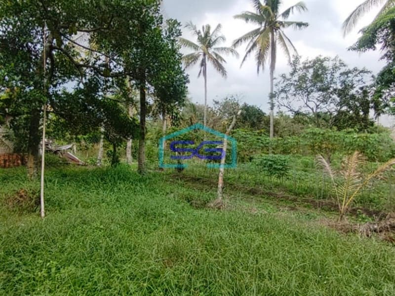 Dijual Strategis! Lahan Tanah di Samping Pabrik Talang Kelapa Banyuasin Sumatera Selatan LT 1 Ha