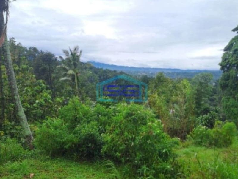 Dijual Tanah Pasir Angin Lahan Bagus di Megamendung Bogor LT 3000m2
