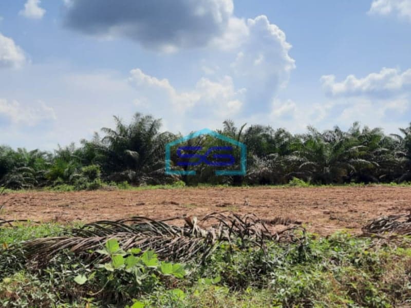 Dijual Tanah Siap Bangun Eks Lahan Kebun Sawit Area Sembawa Banyuasin Sumatera Selatan