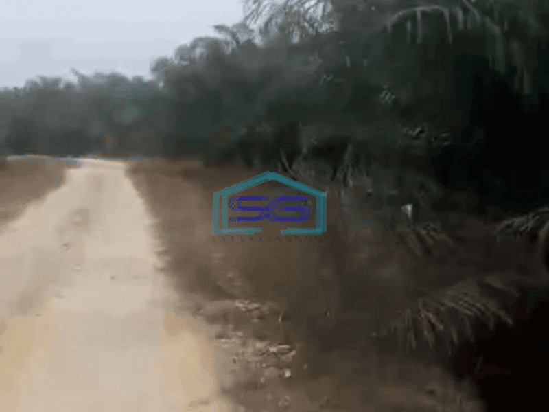 Dijual Tanah Kebun Sawit 200ha Di Siak Riau