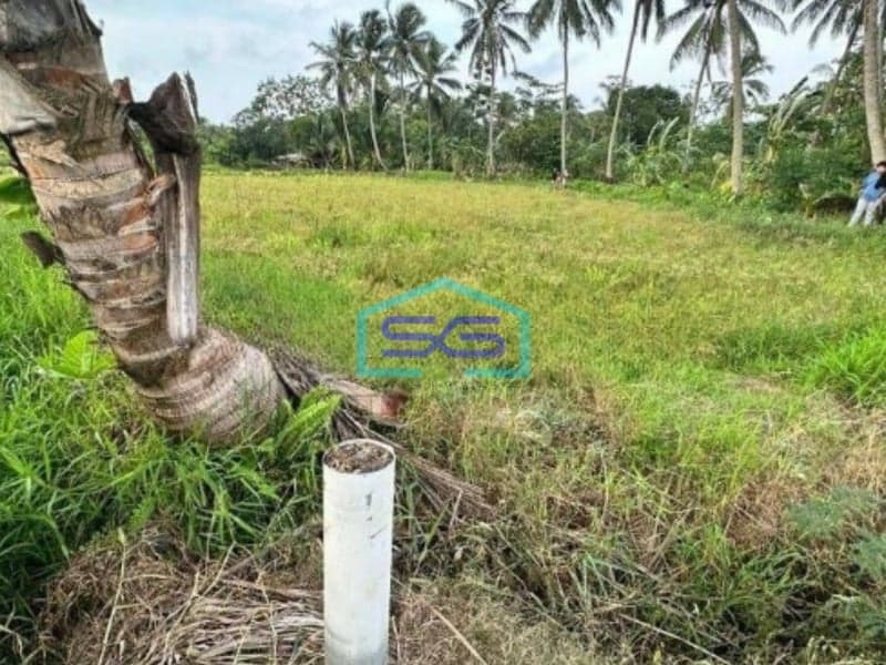 Dijual Tanah di Pandeglang Banten Luas Tanah 43800m2
