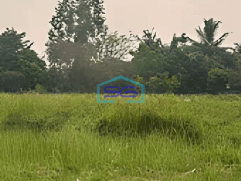 Dijual Tanah Kawasan Balaraja Tangerang Luas Tanah 10750m2