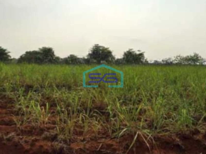 Dijual Tanah Dalam Zona Industri Lokasi Mayong Jepara Tengah Luas 35000m2